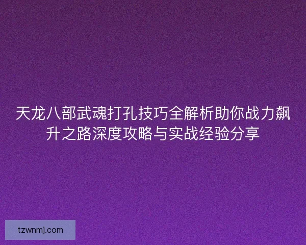 天龙八部武魂打孔技巧全解析助你战力飙升之路深度攻略与实战经验分享