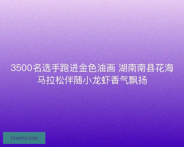 3500名选手跑进金色油画 湖南南县花海马拉松伴随小龙虾香气飘扬