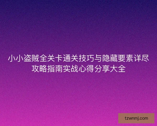 小小盗贼全关卡通关技巧与隐藏要素详尽攻略指南实战心得分享大全