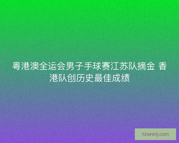 粤港澳全运会男子手球赛江苏队摘金 香港队创历史最佳成绩